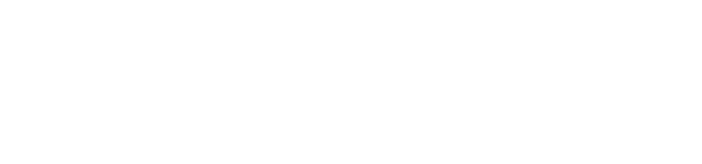 2.税金・自賠責